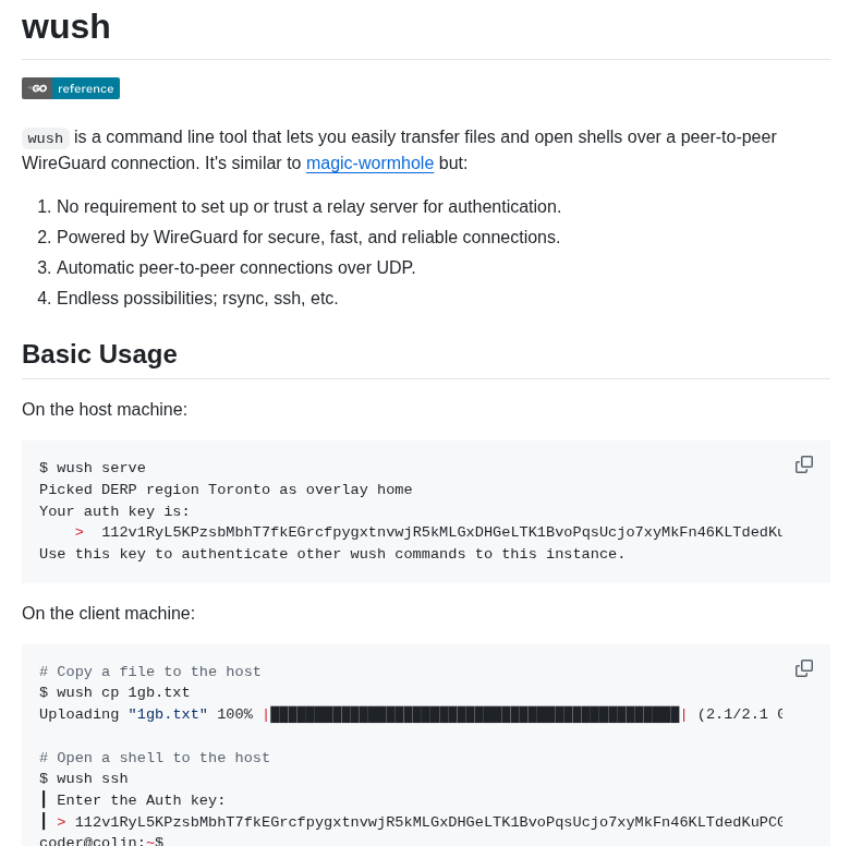 Coder Wush screenshot