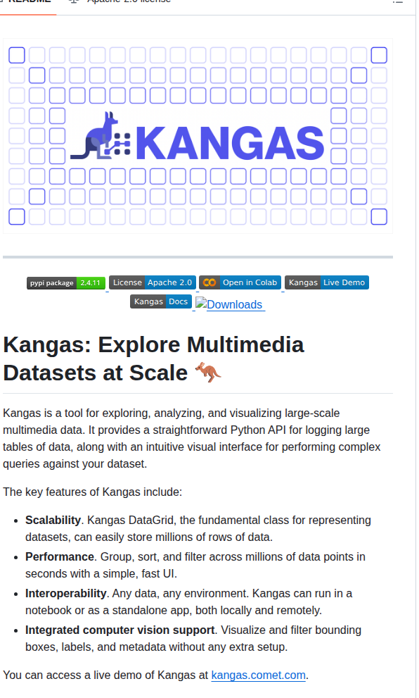 Comet Ml Kangas screenshot