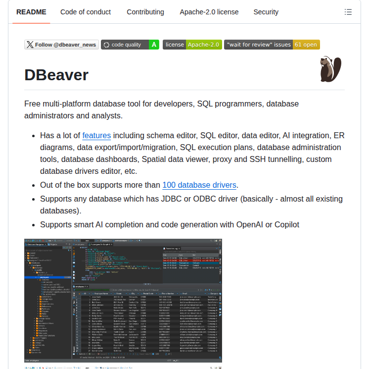 Dbeaver Dbeaver screenshot