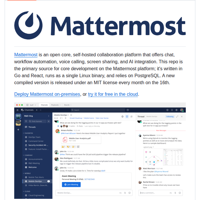 Discod Mattermost screenshot