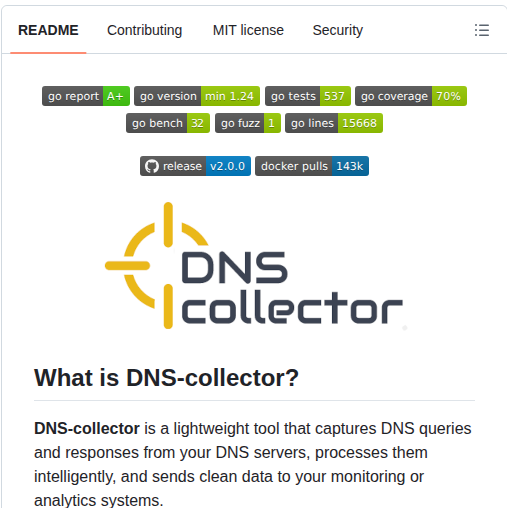 Dmachard Dns Collector screenshot