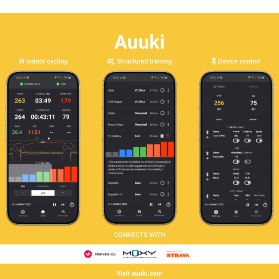 Dvmarinoff Auuki screenshot