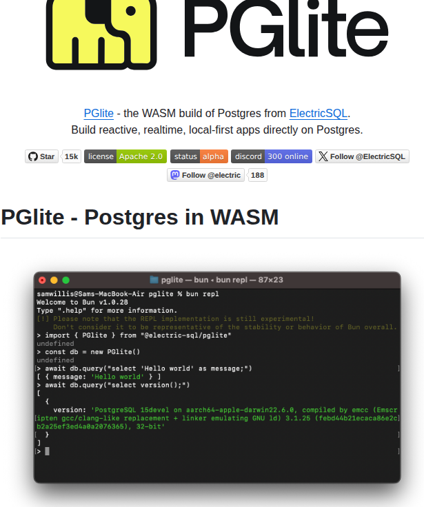 Electric Sql Pglite screenshot