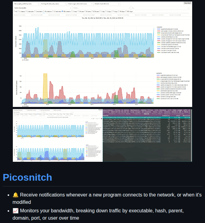 Elesiuta Picosnitch screenshot