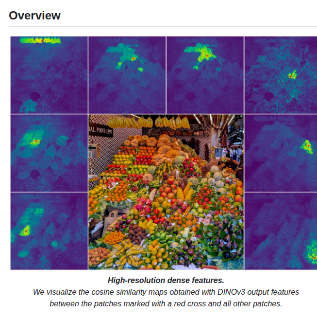 Facebookresearch Dinov3 screenshot