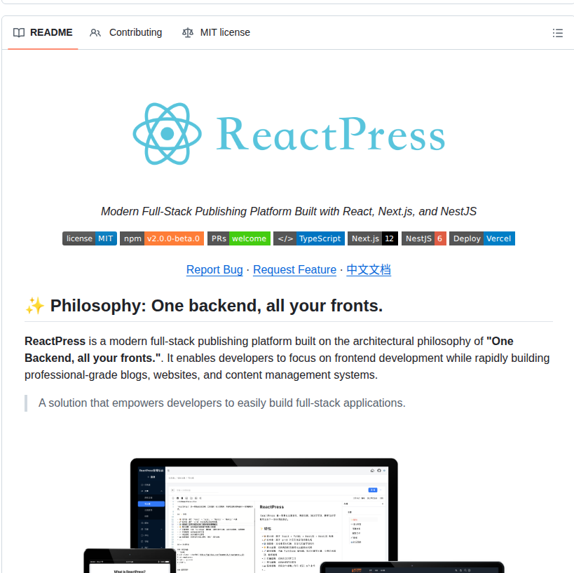 Fecommunity Reactpress screenshot