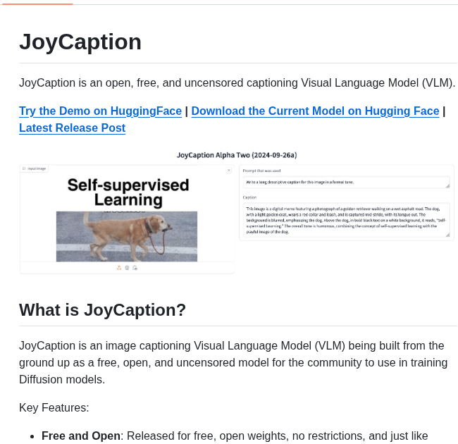Fpgaminer Joycaption screenshot