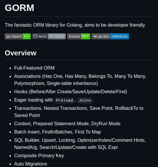 Go Gorm Gorm screenshot