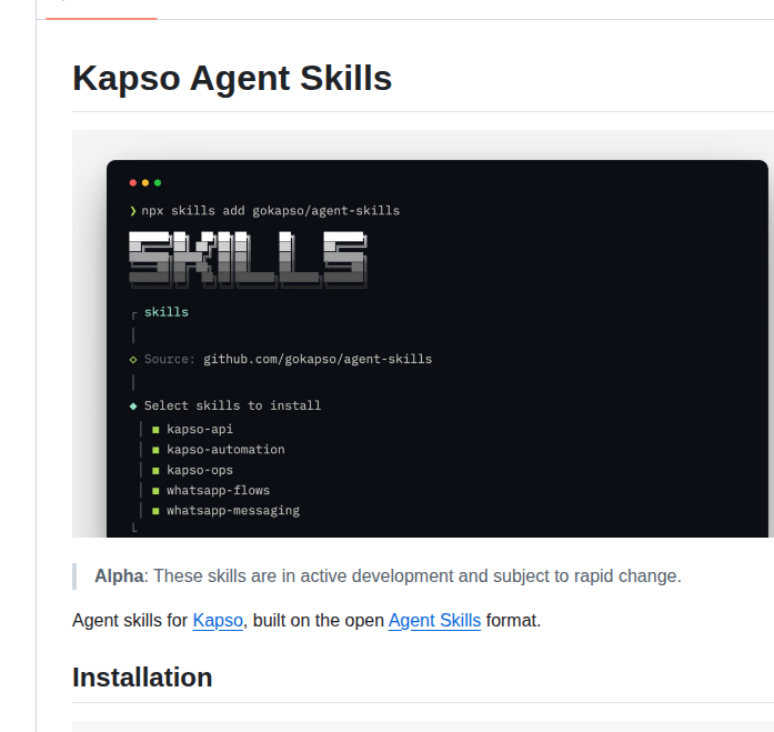 Gokapso Agent Skills screenshot