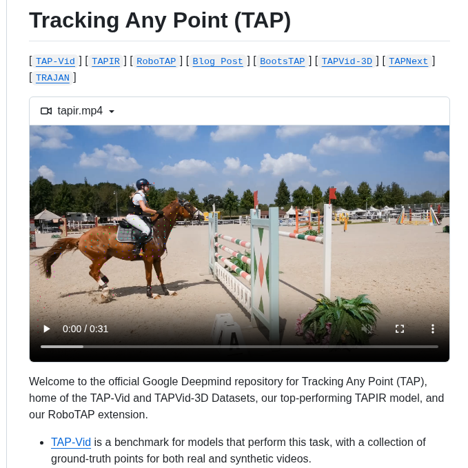 Google Deepmind Tapnet screenshot