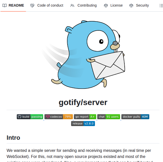 Gotify Server screenshot