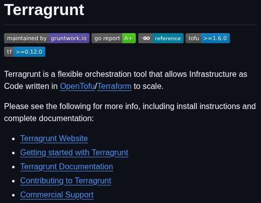 Gruntwork Io Terragrunt screenshot