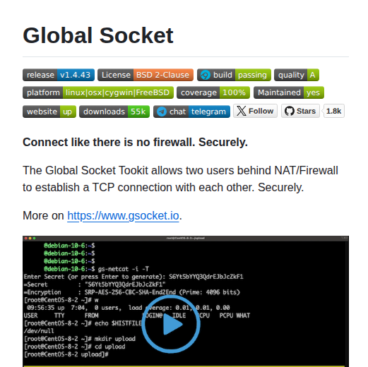 Hackerschoice Gsocket screenshot