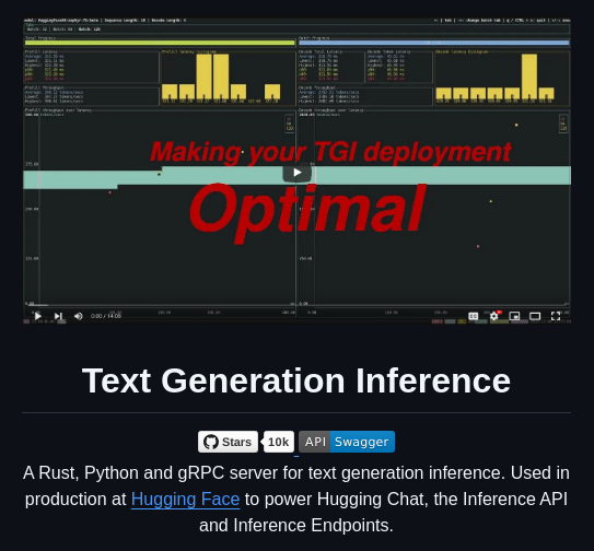 Huggingface Text Generation Inference screenshot