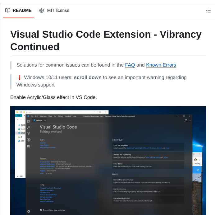 Illixion Vscode Vibrancy Continued screenshot
