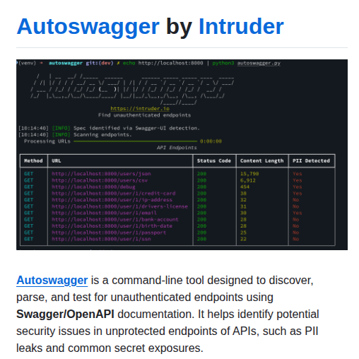 Intruder Io Autoswagger screenshot