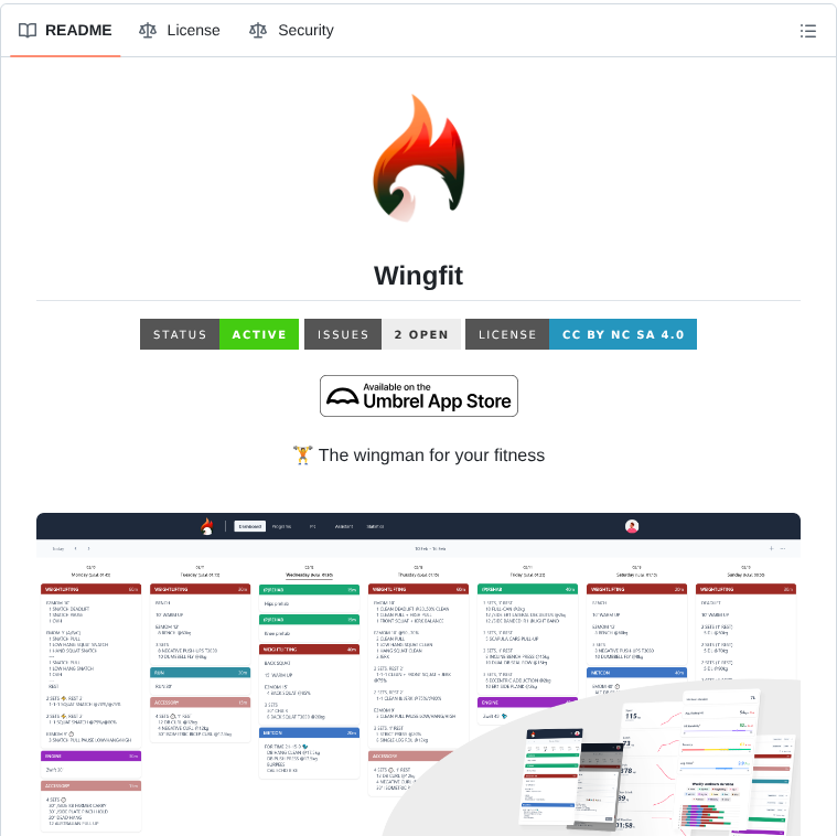 Itskovacs Wingfit screenshot