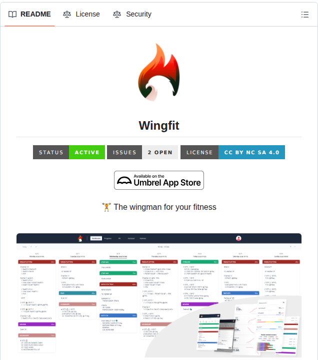 Itskovacs Wingfit screenshot