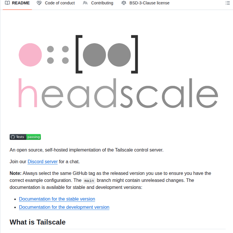 Juanfont Headscale screenshot