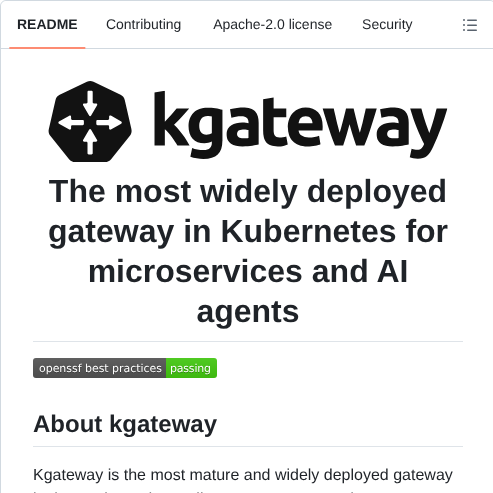 Kgateway Dev Kgateway screenshot