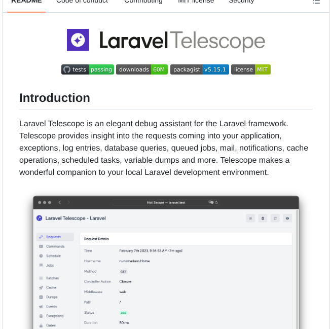 Laravel Telescope screenshot
