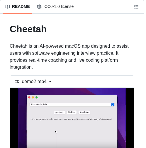 Leetcode Mafia Cheetah screenshot
