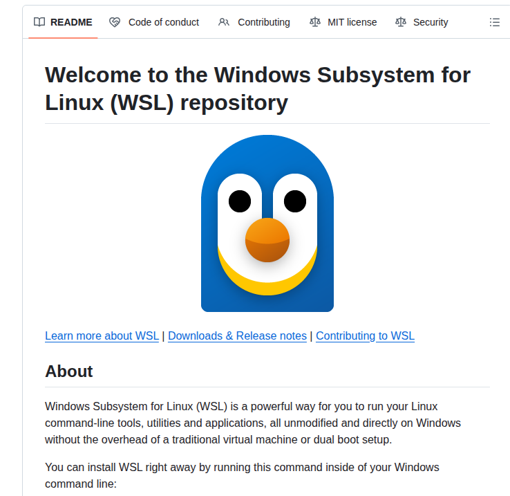 Microsoft Wsl screenshot