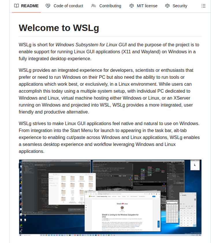 Microsoft Wslg screenshot