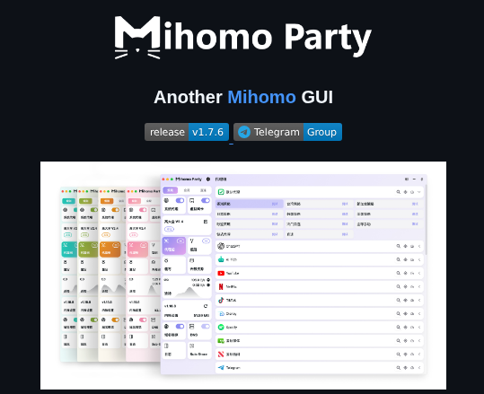 Mihomo Party Org Mihomo Party screenshot