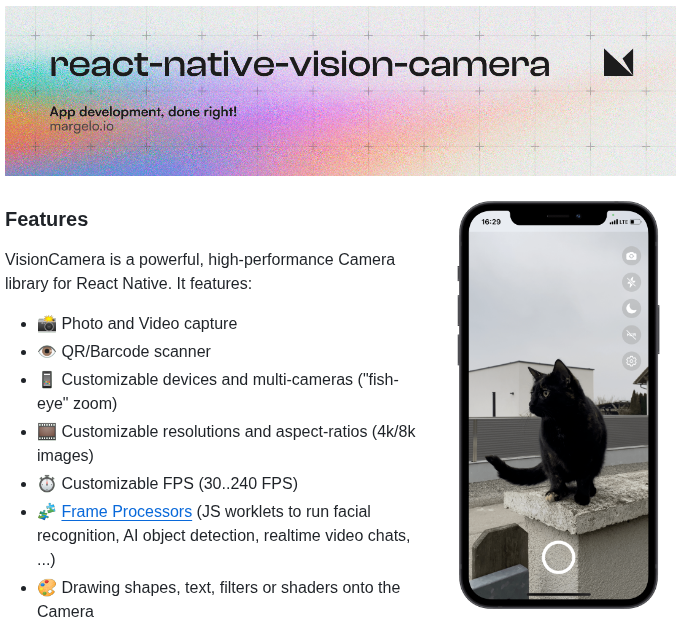 Mrousavy React Native Vision Camera screenshot