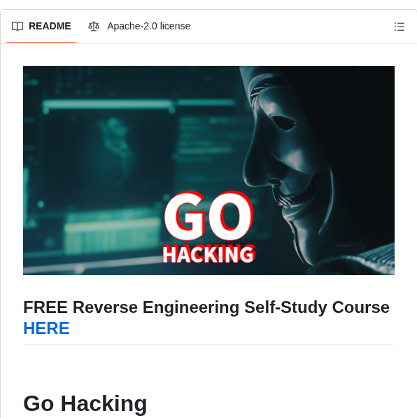 Mytechnotalent Go Hacking screenshot