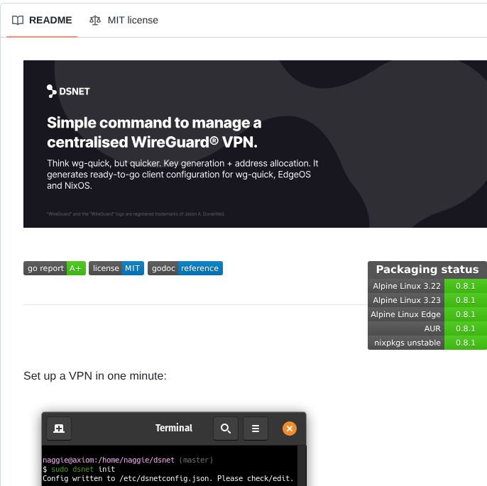 Naggie Dsnet screenshot
