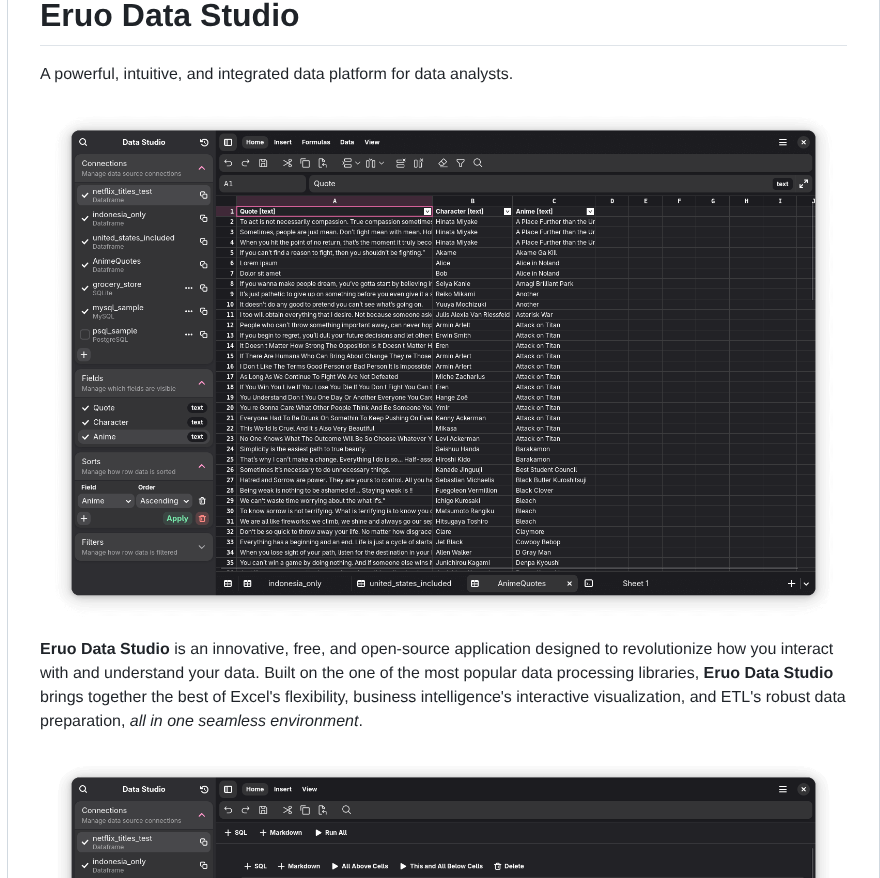 Naruaika Eruo Data Studio screenshot