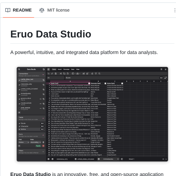 Naruaika Witt Data Studio screenshot