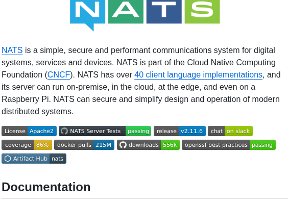Nats Io Nats Server screenshot