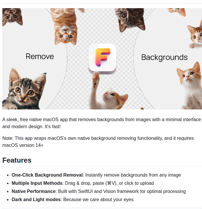 Nuance Dev Figura screenshot
