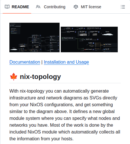 Oddlama Nix Topology screenshot