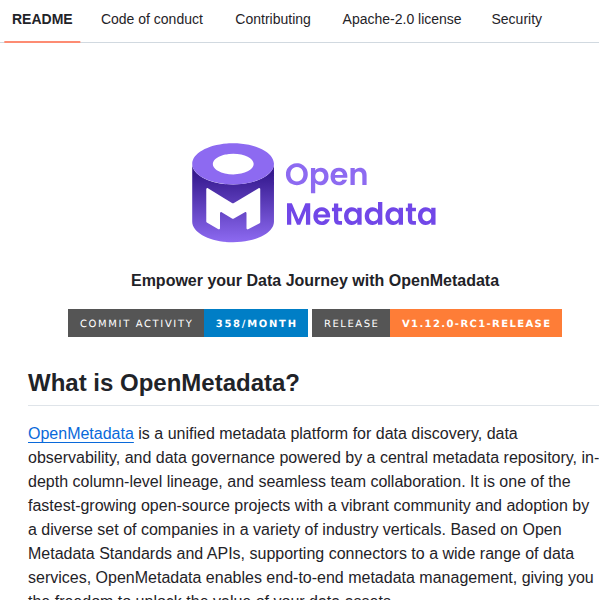 Open Metadata Openmetadata screenshot