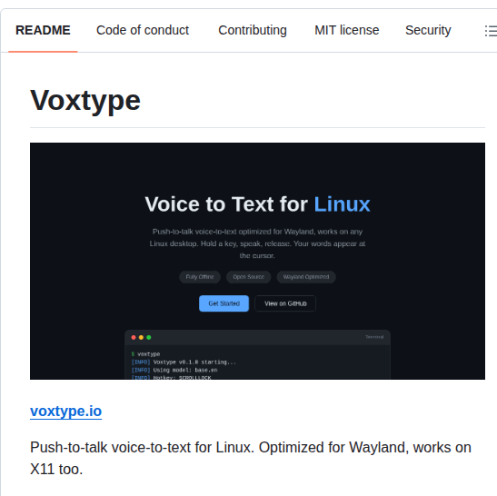 Peteonrails Voxtype screenshot
