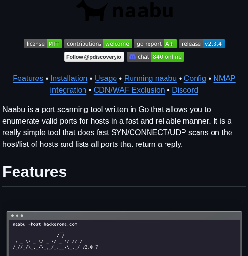 Projectdiscovery Naabu screenshot