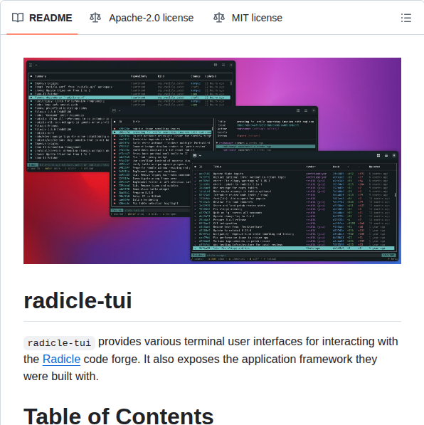 Radicle Dev Radicle Tui screenshot
