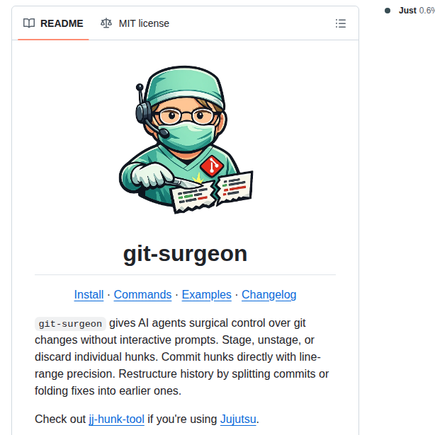 Raine Git Surgeon screenshot