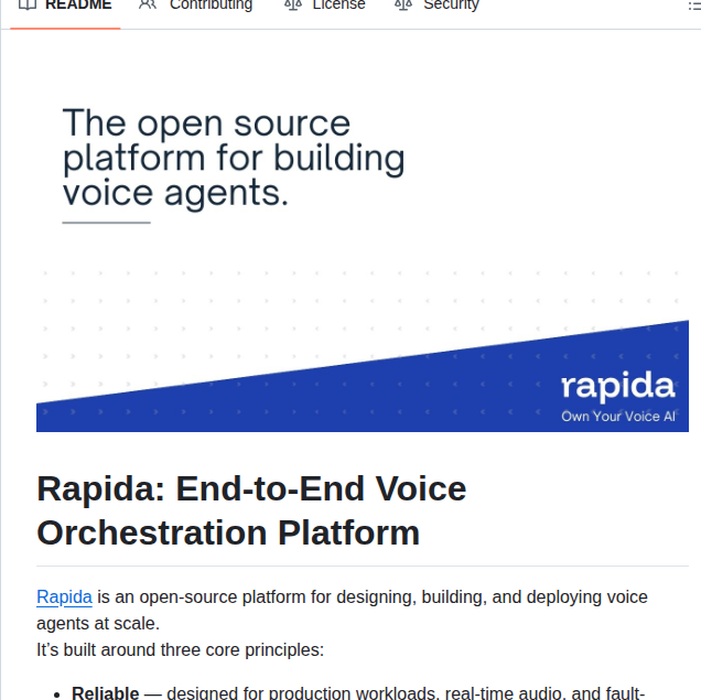 Rapidaai Voice Ai screenshot