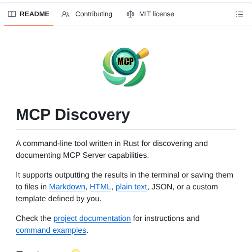 Rust Mcp Stack Mcp Discovery screenshot
