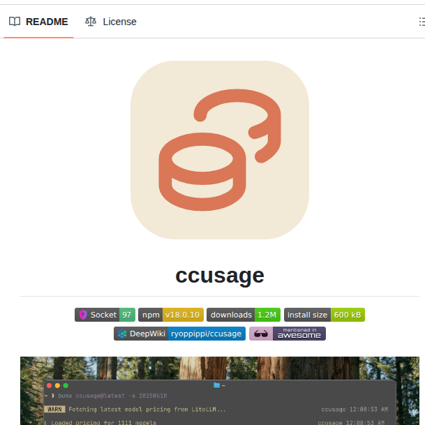 Ryoppippi Ccusage screenshot