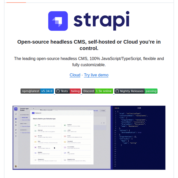 Strapi Strapi screenshot