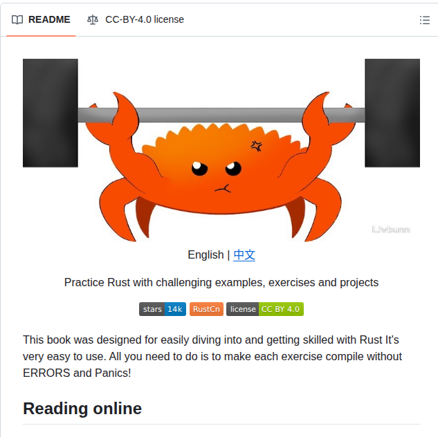 Sunface Rust By Practice screenshot