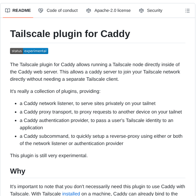 Tailscale Caddy Tailscale screenshot