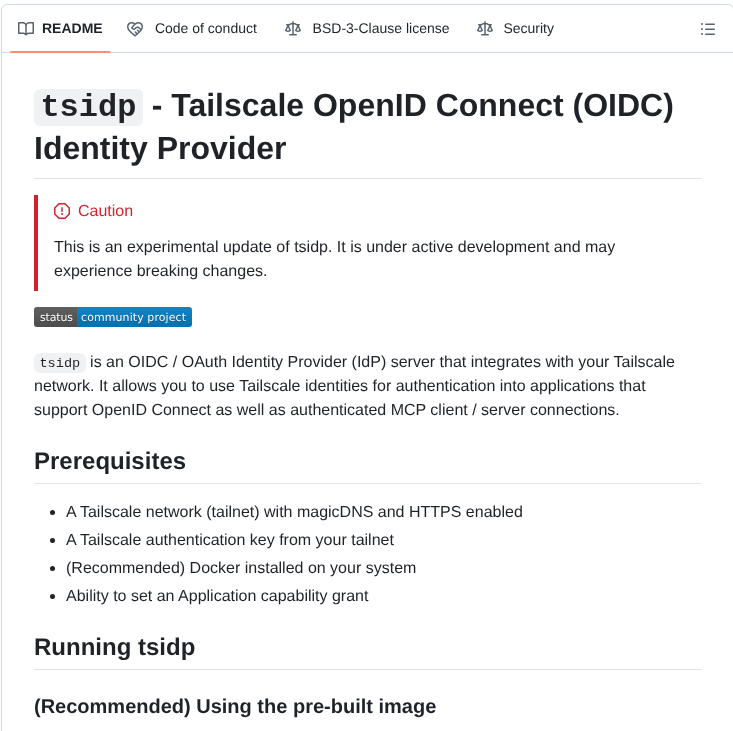 Tailscale Tsidp screenshot