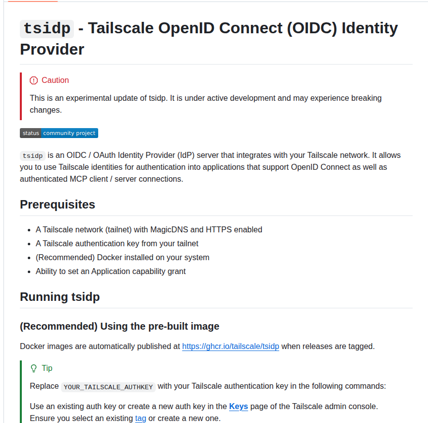 Tailscale Tsidp screenshot